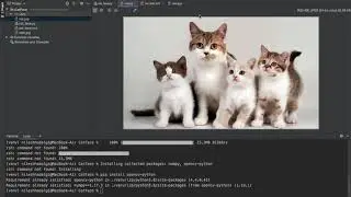 Cat Face detection using open CV and python | face detection using Python and computer vision
