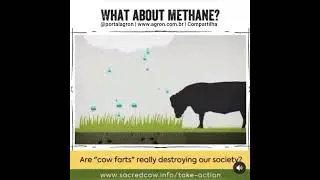 Vídeo em inglês mostra o ciclo do metano. Gado, vacas e bois não causam efeito estufa.