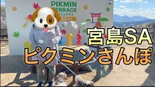 いつものお散歩コースで推しのイベントやってるなんてめちゃ嬉しい。
