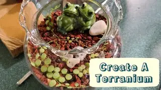 Come And Plant Such A Cute String Of Turtles Terranium With Me 🐢 🐢