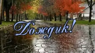Алексей Кракин  - Дождик! (дворовые песни)