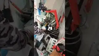 ЗЕНКА СТАНОГИ
