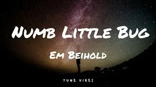 Numb Little Bug - Em Beihold  (Lyrics)