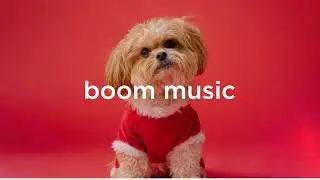 Playful No Copyright Music / Free To Use Music
