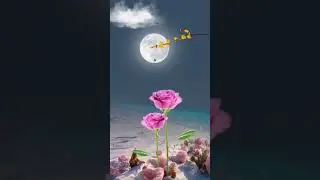8 марта 2021 Таир