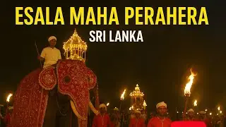 Esala Maha Perahera Sri Lanka| ඇසළ මහා පෙරහැර 🙏🙏🙏