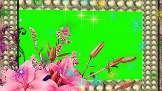 Wedding Green Screen Effects 155/green photo frame wedding animation background video 2021