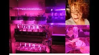 Easy DIY Grow Station ~ LED Lights For All Stages of Plant Growth! |Seed Starting