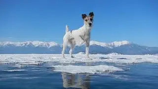 Рыбалка в Чивыркуйском заливе. Байкал 2018.