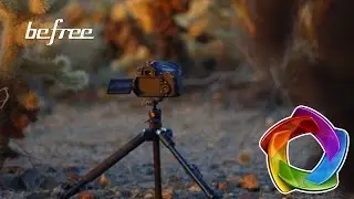 Tripé Manfrotto Befree para Fotografia
