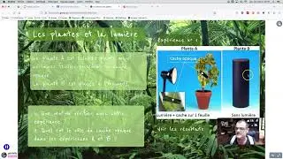 Les besoins des plantes