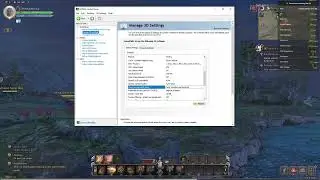 Throne and Liberty 4k 140 FPS  2160p The ABSOLUTE BEST Settings Revealed