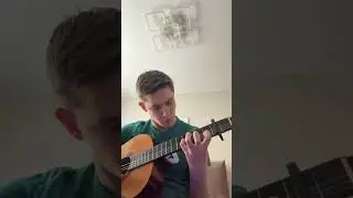 все пруды #гитара #guitar #кавер #cover #shorts #гиопика