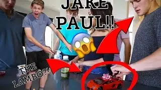 JAKE PAUL TOOK THE LAMBORGHINI OUT OF THE LAGOON!!