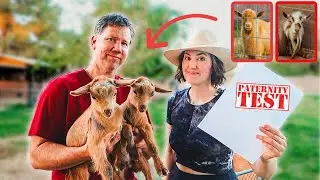 The DNA Results are Back! Who's the Daddy? 👀