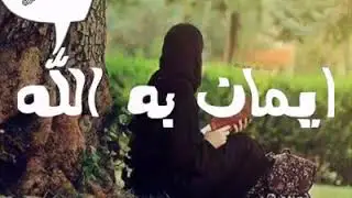 دل هشلر سی