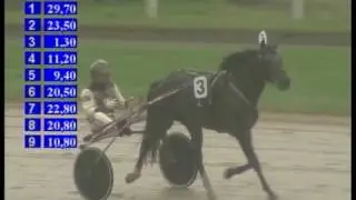 ygold 02-05-2010.VOB