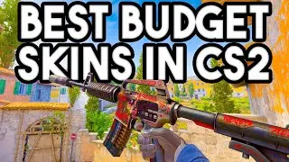 BEST BUDGET SKINS TO BUY In CS2