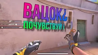 ❗️ВАЦОК ПОЧУВСТВУЙ😳 | я новый касай❓