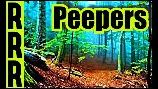PEEPERS ! NATURE 