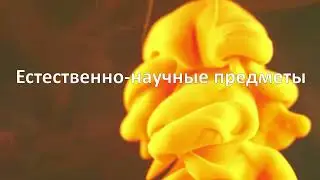 День Открытых Дверей Целый