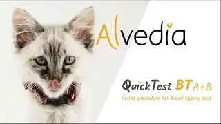 Alvedia - Quick Test Blood Typing Feline Procedure
