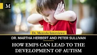 How EMFs Can Lead to the Development of Autism – Interview With Dr. Martha Herbert & Peter Sullivan
