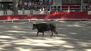 SOMMIÈRES (28/07/2024) - Le résumé de la course