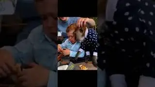 Хасбулла не делится с Кентом 