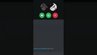 se eu achar um GADO no DISCORD o VÍDEO ACABA