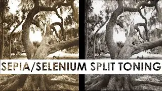 How To: Split Toning Sepia/Selenium