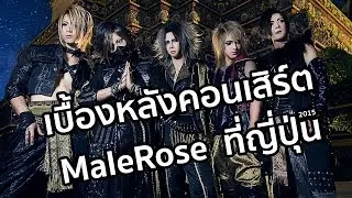 Highlight MaleRose Live at World Visual Festival 2015 Shibuya,Tokyo