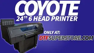 COYOTE 24