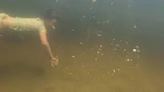 Fish feeding 1