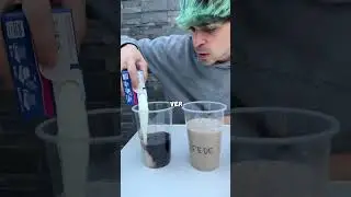 MI HERMANO ESCOGE la MEJOR OPCION!?