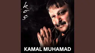 Şawî Qedir
