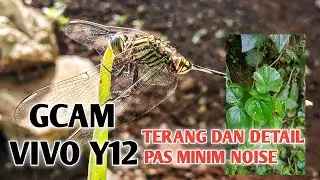 Gcam Yang Cocok Untuk Vivo Y12 android 11 [Minim Noise]