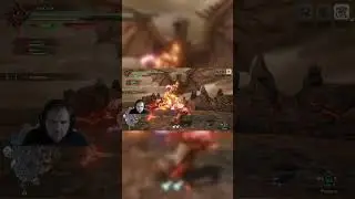 #MonsterHunter