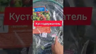 Лайфхак для куста крыжовника! 