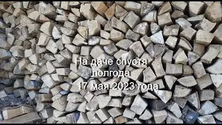 Дача спустя полгода / Открыла сезон и сразу простудилась / Вернулась в город болеть