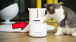 7 Cool Gadgets That You'll Love in 2021