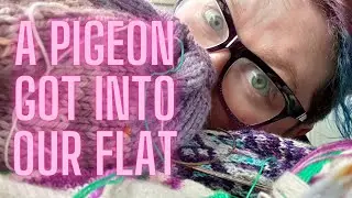 A PIGEON GOT IN OUR FLAT (a knitting, resin craft, and yarn dyeing vlog)