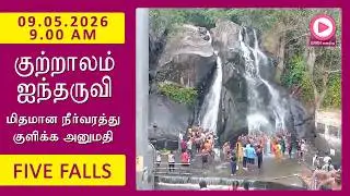 Five Falls | 09.05.2026, 9.00 AM | குற்றாலம் ஐந்தருவி வீடியோ | Kutralam Season Today | KutralamLive