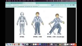 Ngày 2: HTML, CSS cho header