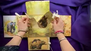 Big Bear Journal Flip Through