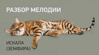 Играется за один урок 