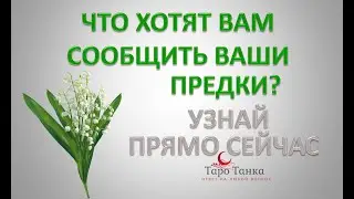 ЧТО ХОТЯТ СООБЩИТЬ ВАШИ ПРЕДКИ ПРЯМО СЕЙЧАС. МОЖЕШЬ ЗАДАТЬ ВОПРОС И ПОЛУЧИТЬ ОТВЕТ. СМОТРИ ДО КОНЦА