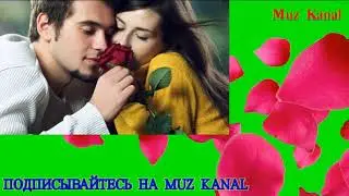 Анди Хаме ишкам 2019