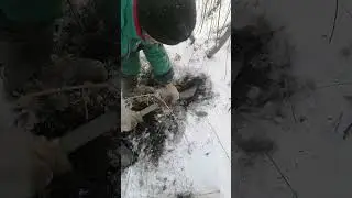 зимний метал