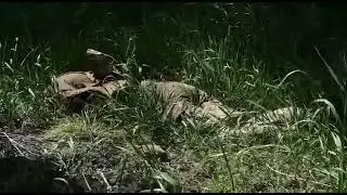 Новое